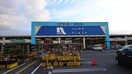 ホームプラザナフコ 総社店(電気量販店/ホームセンター)まで899m 井原鉄道井原線/総社駅 徒歩16分 2階 築19年