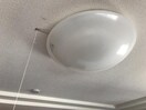 照明器具 山陽本線（中国）/倉敷駅 バス8分田ノ上下車:停歩4分 2階 築21年
