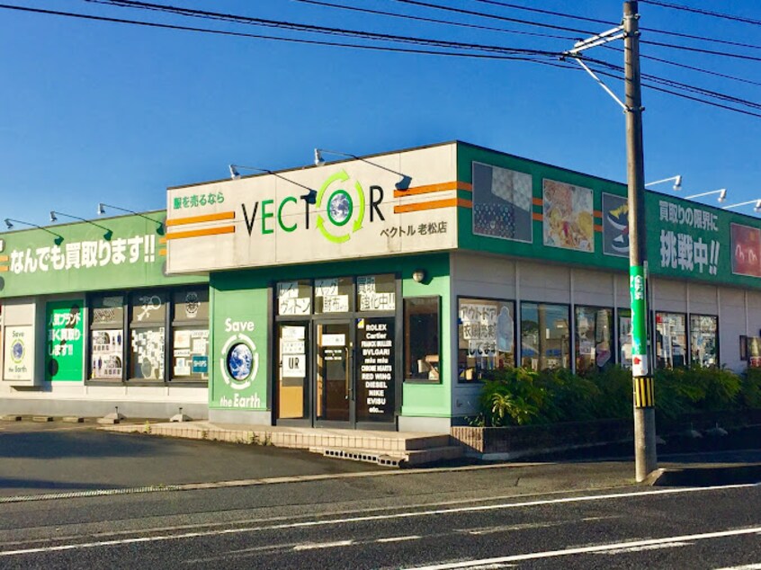 ベクトル 老松店(ディスカウントショップ)まで495m 山陽本線（中国）/倉敷駅 バス8分田ノ上下車:停歩4分 2階 築21年