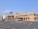 渡辺胃腸科外科病院 3455m 山陽本線（中国）/新倉敷駅 徒歩44分 1階 築1年