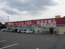 金光薬品水島神田店 399m 水島臨海鉄道水島本線/栄駅 徒歩8分 2階 築34年