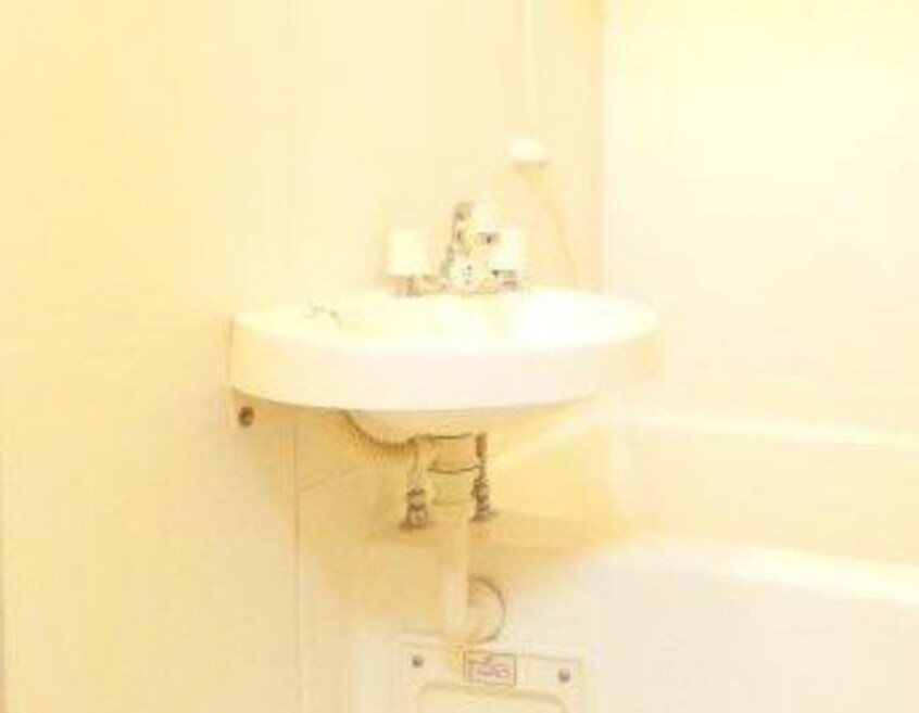  山陽本線（中国）/新倉敷駅 徒歩5分 1階 築29年