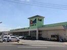 ディオマート北畝店まで587ｍ 水島臨海鉄道水島本線/弥生駅 徒歩12分 1階 建築中