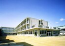 浅口市立六条院小学校(小学校)まで745m 山陽本線（中国）/鴨方駅 徒歩10分 1階 築1年