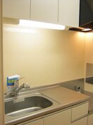  山陽本線（中国）/新倉敷駅 徒歩21分 1階 築11年