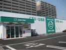 ザグザグ稲荷町店まで450m エムズガーデンＡ