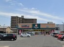  山陽本線（中国）/中庄駅 徒歩17分 1階 築3年
