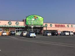 ニシナフードバスケット 西原店(スーパー)まで458m 山陽本線（中国）/西阿知駅 徒歩7分 2階 築11年