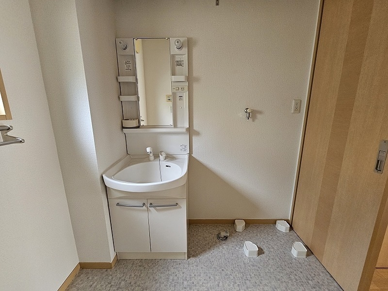  プレイン・パイン　Ｃ