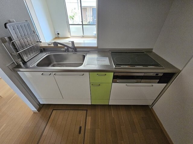  プレイン・パイン　Ｃ