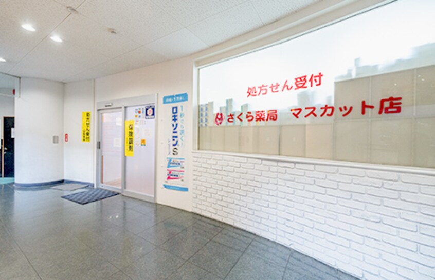 さくら薬局 マスカット店(ドラッグストア)まで516m 山陽本線（中国）/中庄駅 徒歩15分 2階 築28年