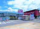 コメリハード&グリーン金光店(電気量販店/ホームセンター)まで835m 山陽本線（中国）/金光駅 徒歩7分 2階 築26年