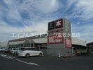 ＴＳＵＴＡＹＡ中庄店 1560m ロイヤル藤Ⅰ