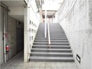  ノーサレンダー