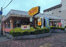 デニーズ松原店(その他飲食（ファミレスなど）)まで433m 名古屋市営地下鉄名城線/東別院駅 徒歩10分 11階 築37年