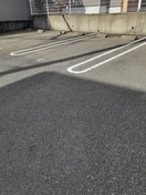  サンコリ－ヌ　Ａ