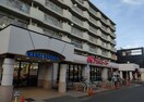 アオキスーパー 烏森店(スーパー)まで569m 名古屋市営地下鉄東山線/岩塚駅 徒歩7分 3階 築18年