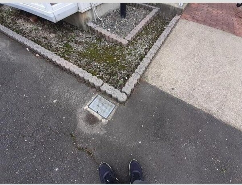  グリーンリバー