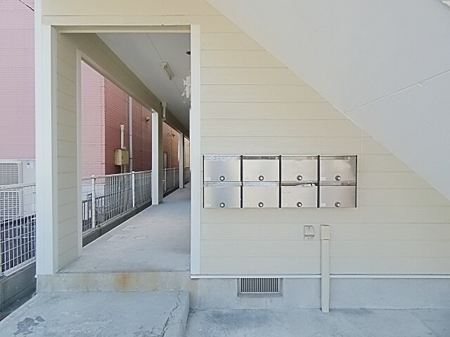  グレイス市場木