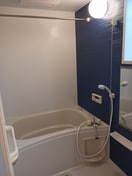  サングレイスＢ