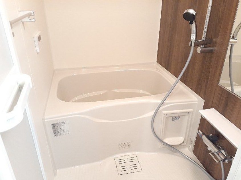  ルナリア（Ｌｕｎａｒｉａ）