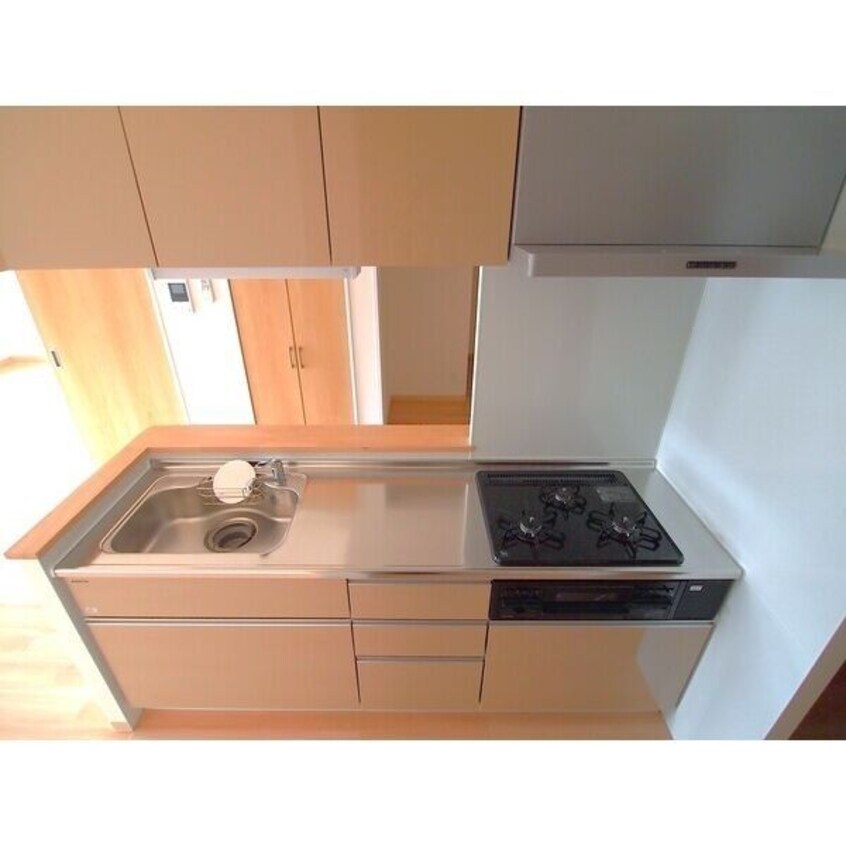  レジデンス　グリシナ (新築物件)