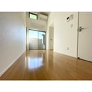  スターライト緑星