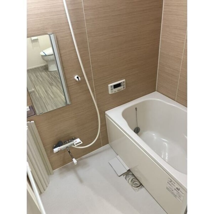  プランベイム道徳