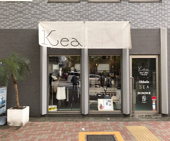 Kea.(ケア)まで226m 名古屋市営地下鉄名城線/矢場町駅 徒歩10分 17階 築6年