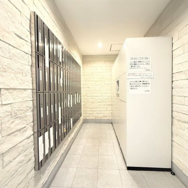  マイアトリア栄