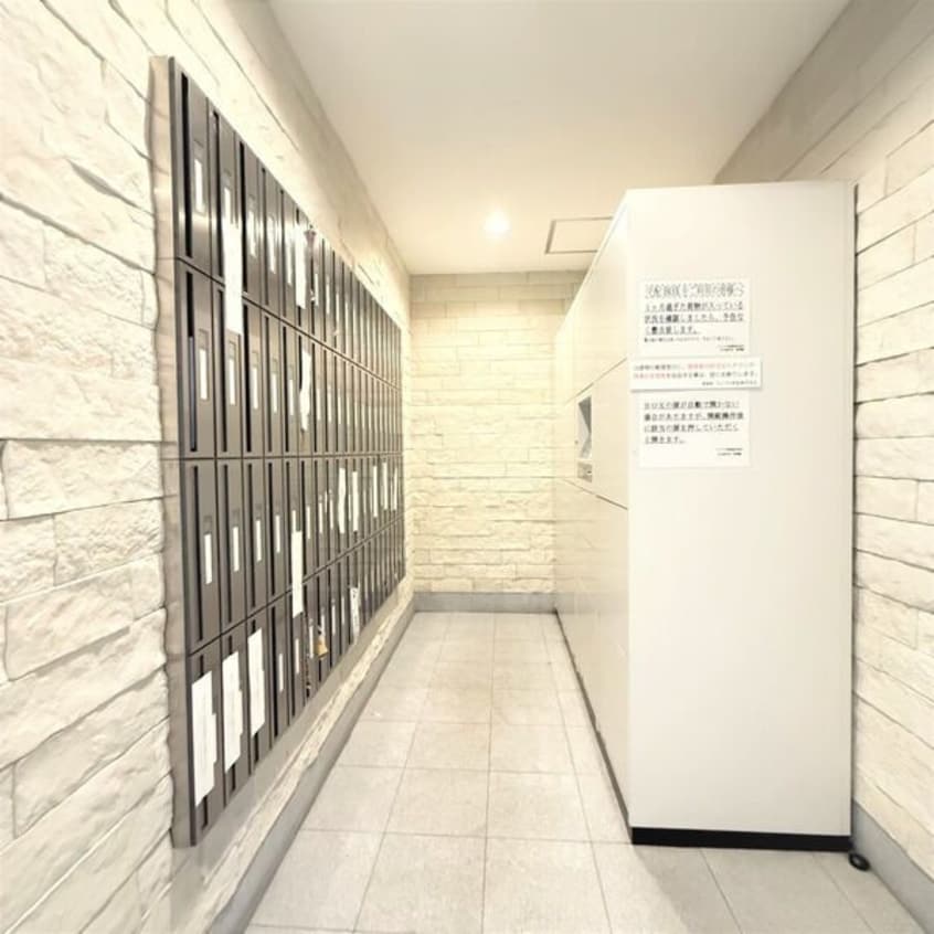  マイアトリア栄