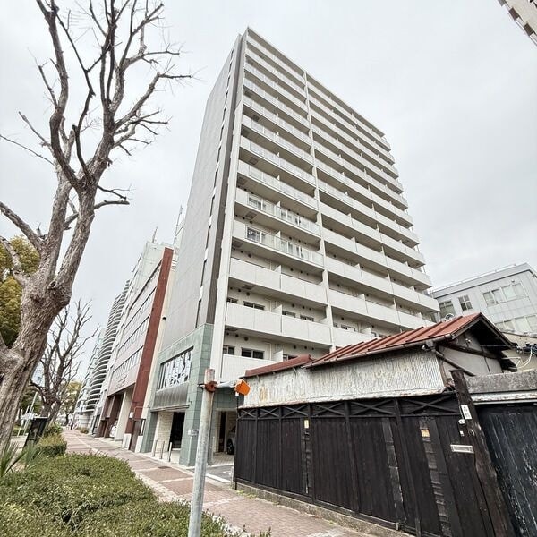  マイアトリア栄