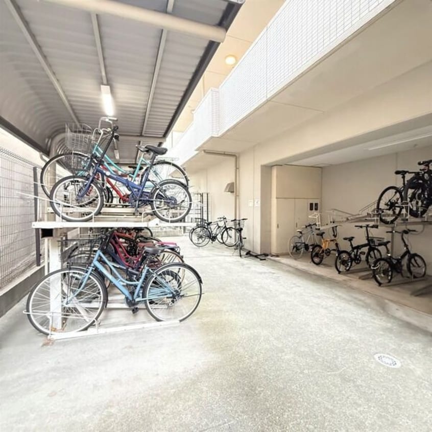  マイアトリア栄