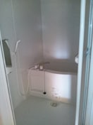  レオネクスト宮神