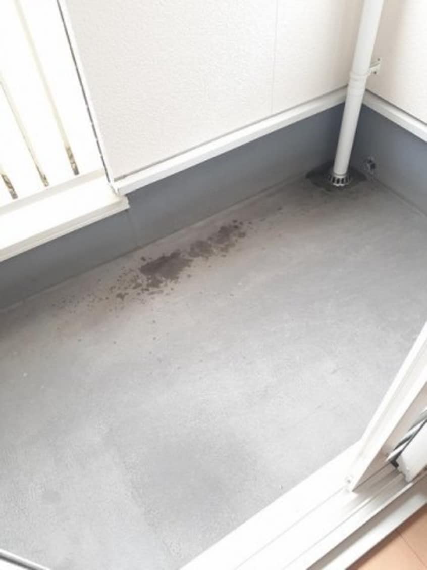  フォルテシモ　ｆ