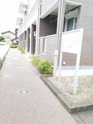  フォルテシモ　ｆ