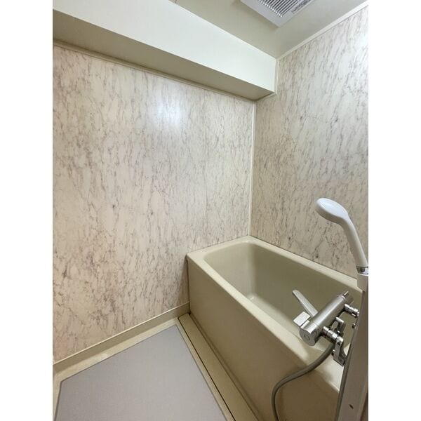  アビタマルフクII