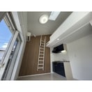  Fairy (フェアリー)