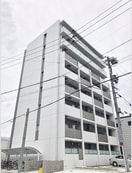  メイボートレス