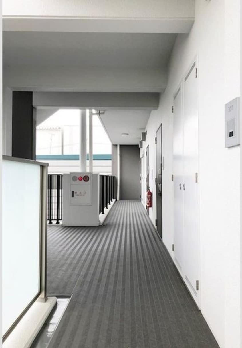  メイボートレス