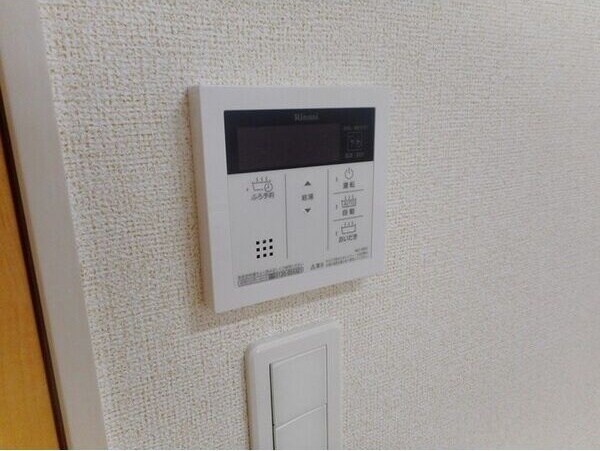  Ｌｉｓ　ｂｌａｎｃ（リ・ブラン