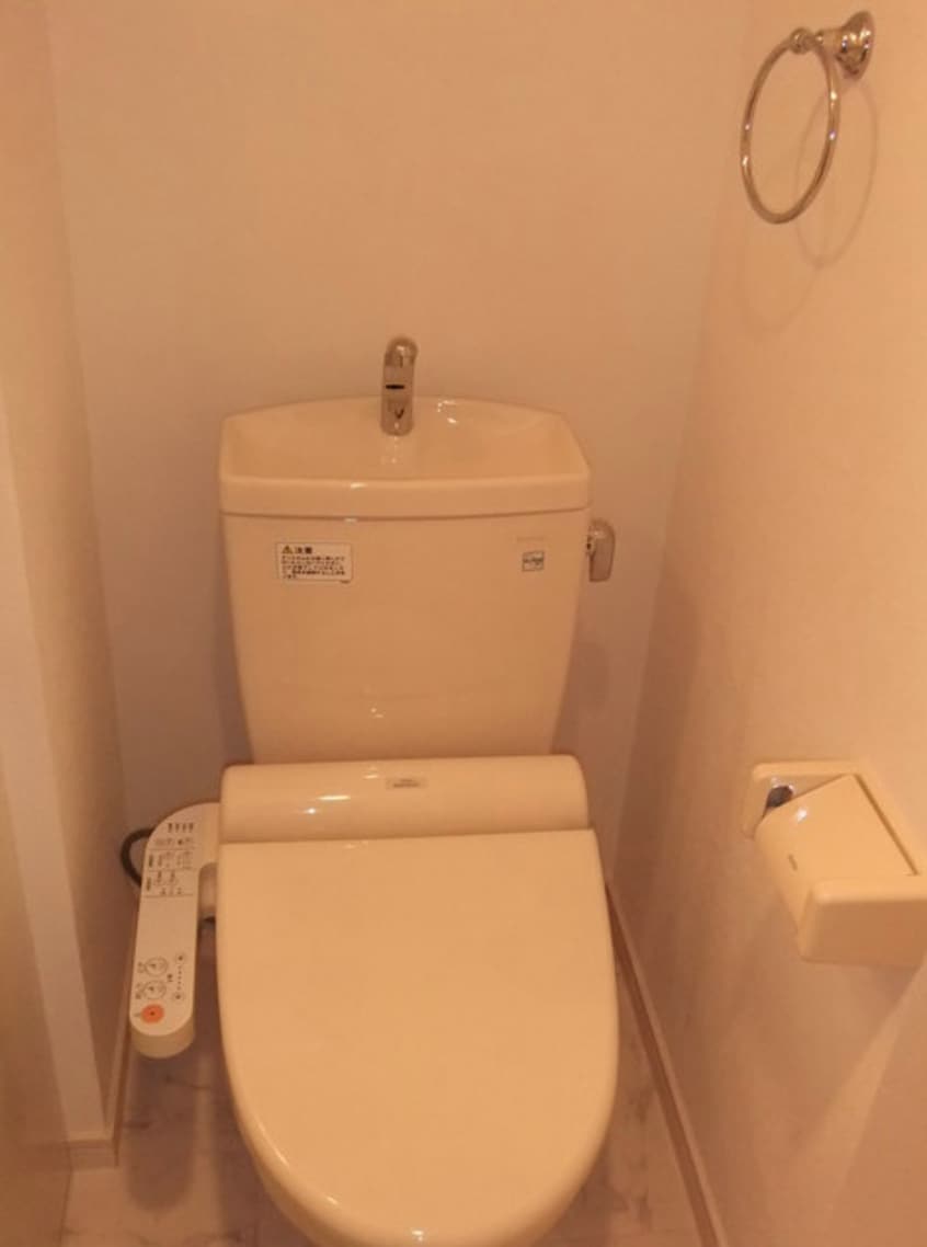  Globe amaranth庄内通