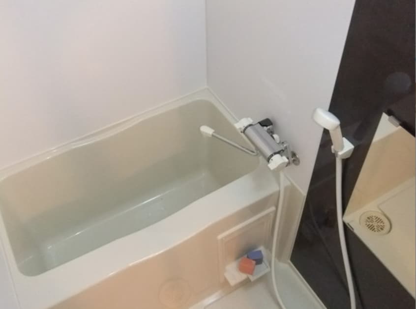  Globe amaranth庄内通