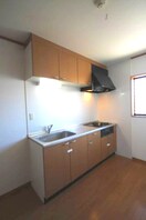  ハイツカトレア