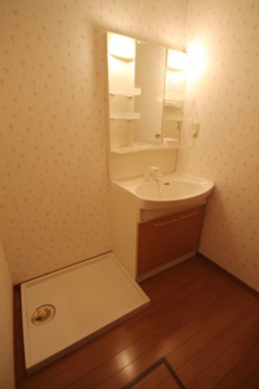  ハイツカトレア