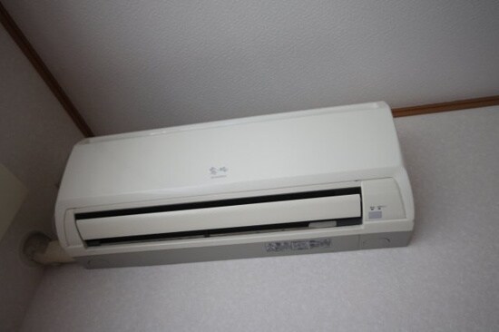  ハイツカトレア