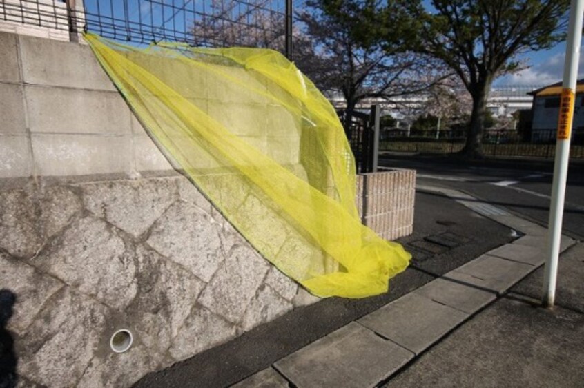  ハイツカトレア