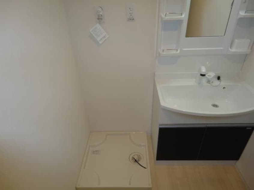  キャットテール