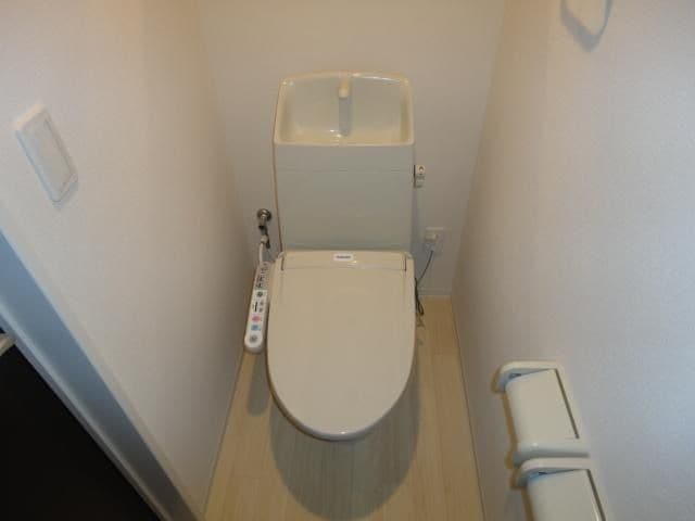  キャットテール