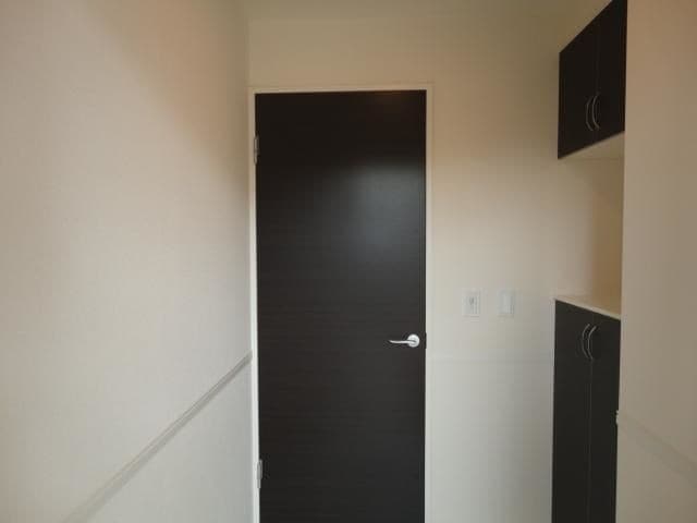  キャットテール